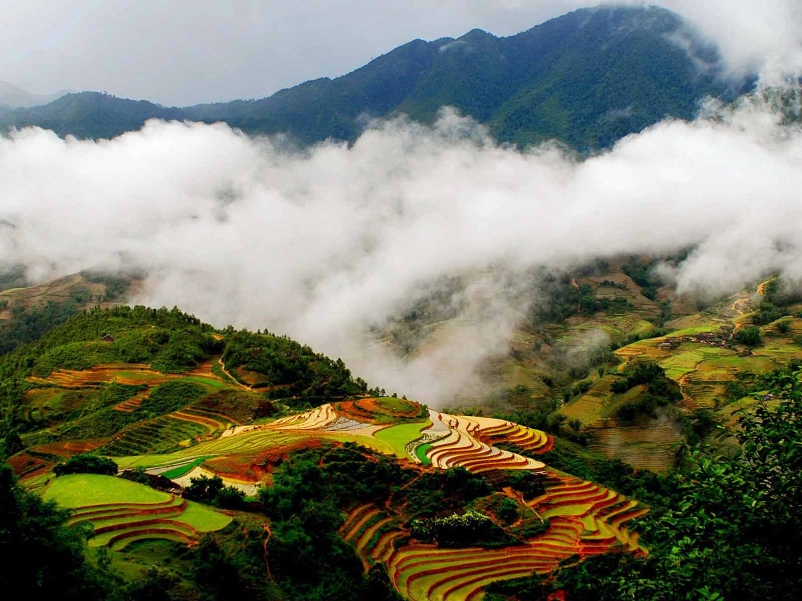 SAPA - THỊ TRẤN TRONG SƯƠNG MỘNG MƠ CỦA VIỆT NAM